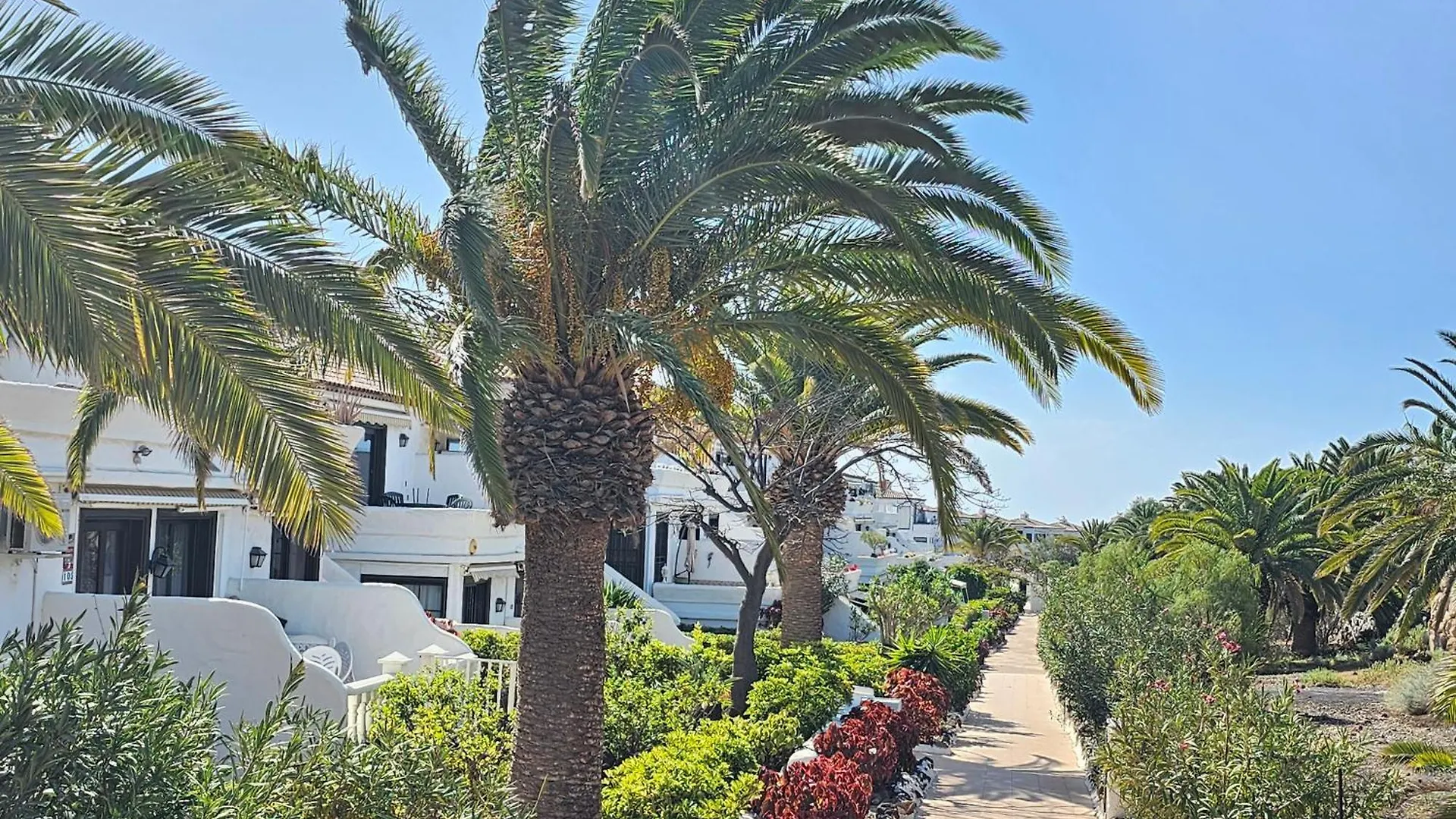 New Stunning Golf View & Pool , South Tenerife Apartment San Miguel de Abona